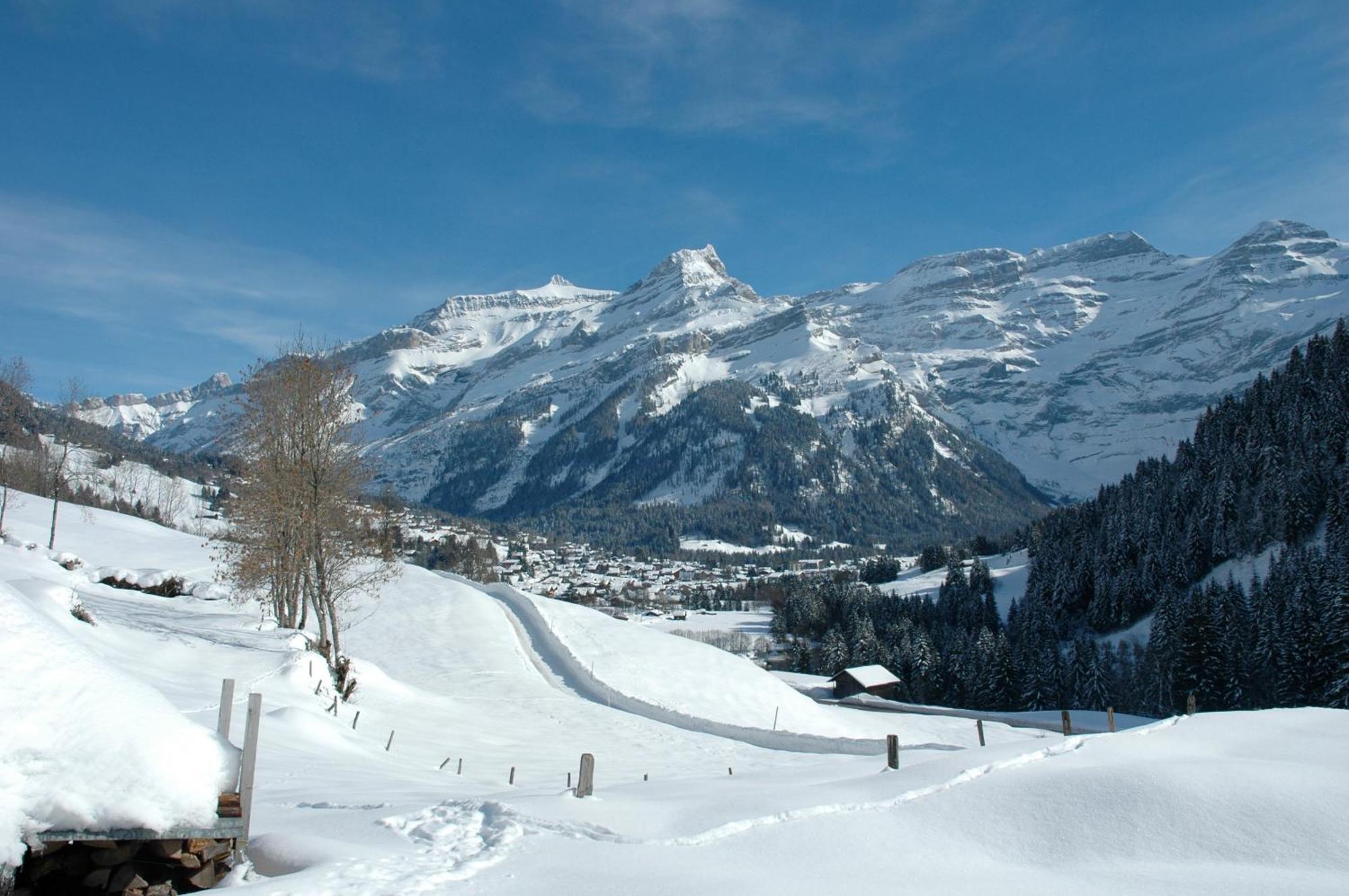 Historic Hotel Du Pillon Les Diablerets Ngoại thất bức ảnh