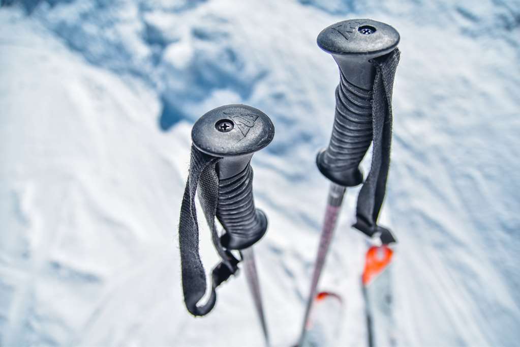 Historic Hotel Du Pillon Les Diablerets Tiện nghi bức ảnh
