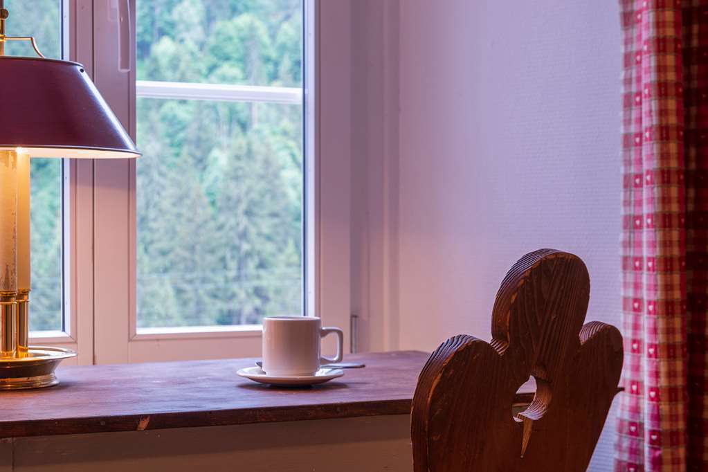 Historic Hotel Du Pillon Les Diablerets Tiện nghi bức ảnh
